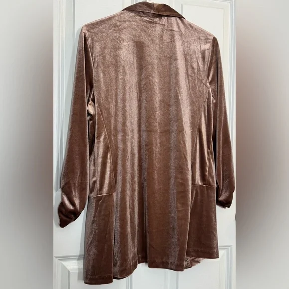 Elegant Champagne Velour Blazer | L | - Picture 5 of 10